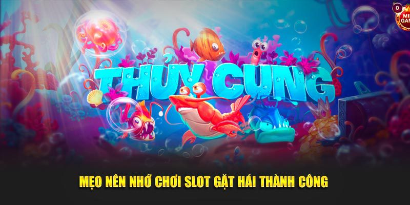Mẹo nên nhớ chơi slot gặt hái thành công